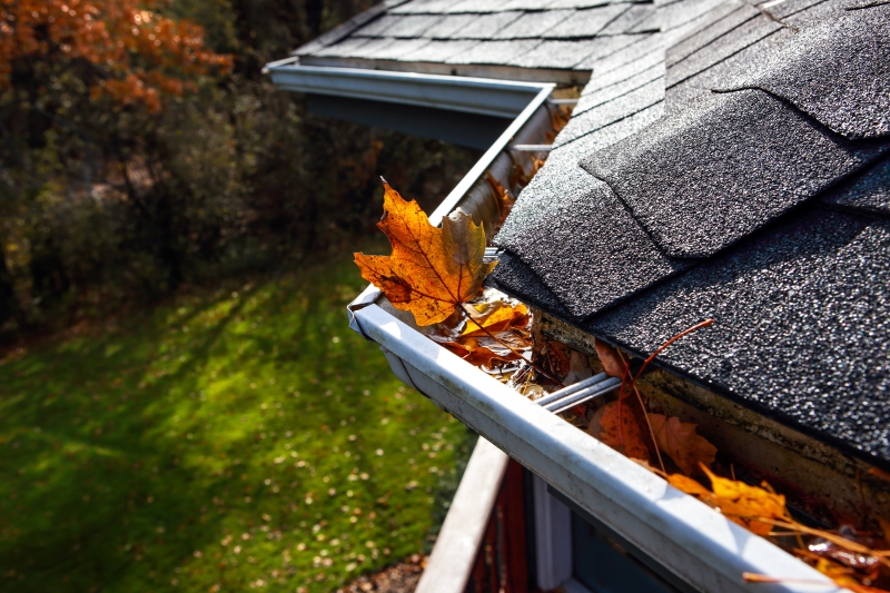 fall-maint.jpg